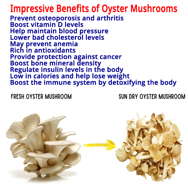 Dry Oyster Mushroom